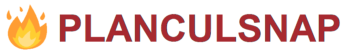 Plan cul snap